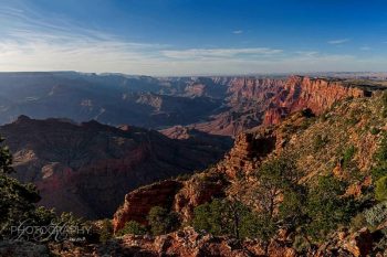 Grand Canyon Desert Views GC138A