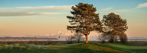 Boundary Mt Baker BB446A