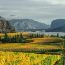 McIntyre Bluff Bigh Ridge MB285A